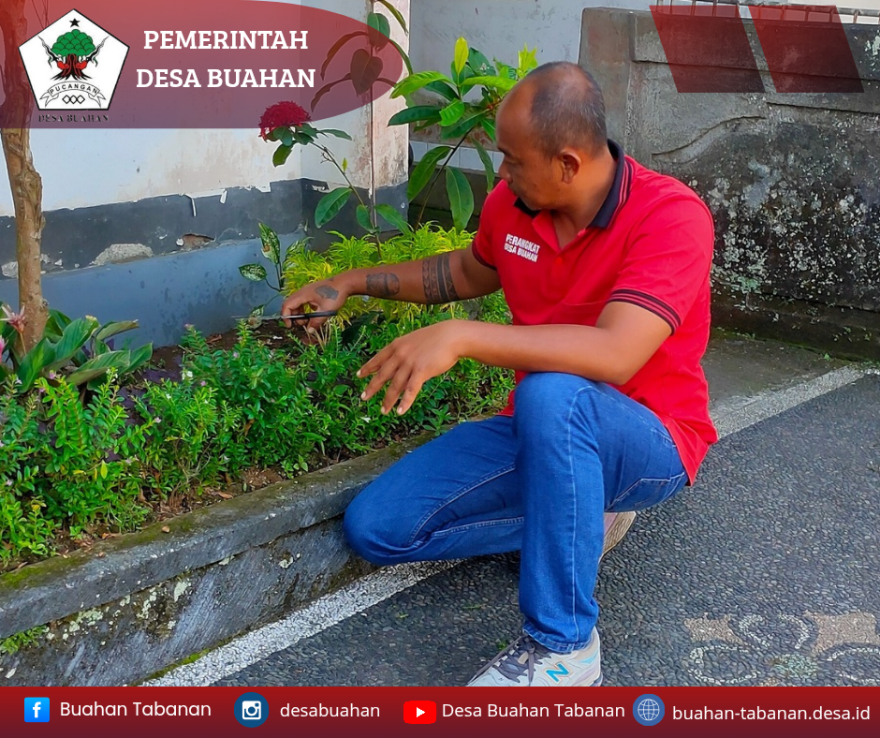 MERERESIK PERSIAPAN PIODALAN RING PADMASANA KANTOR DESA BUAHAN